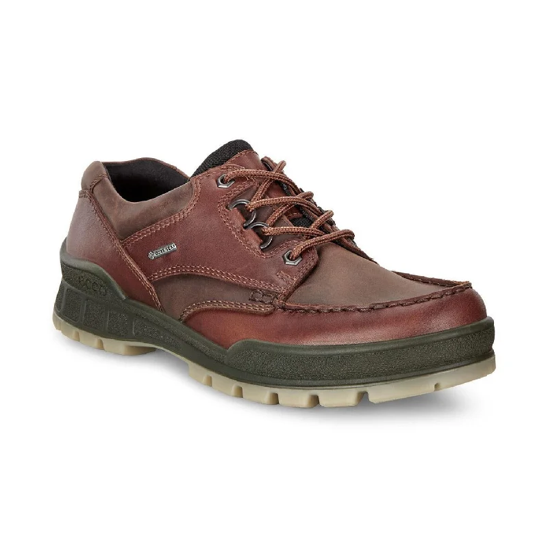 Ecco Track 25 Shoe Gore Tex Shoe Bison Brown